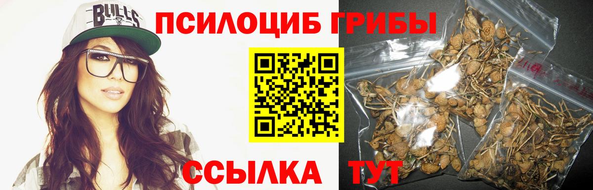 Галлюциногенные грибы GOLDEN TEACHER  Псилоцибиновые грибы ЛСД  Бугуруслан  Вход с VPN 