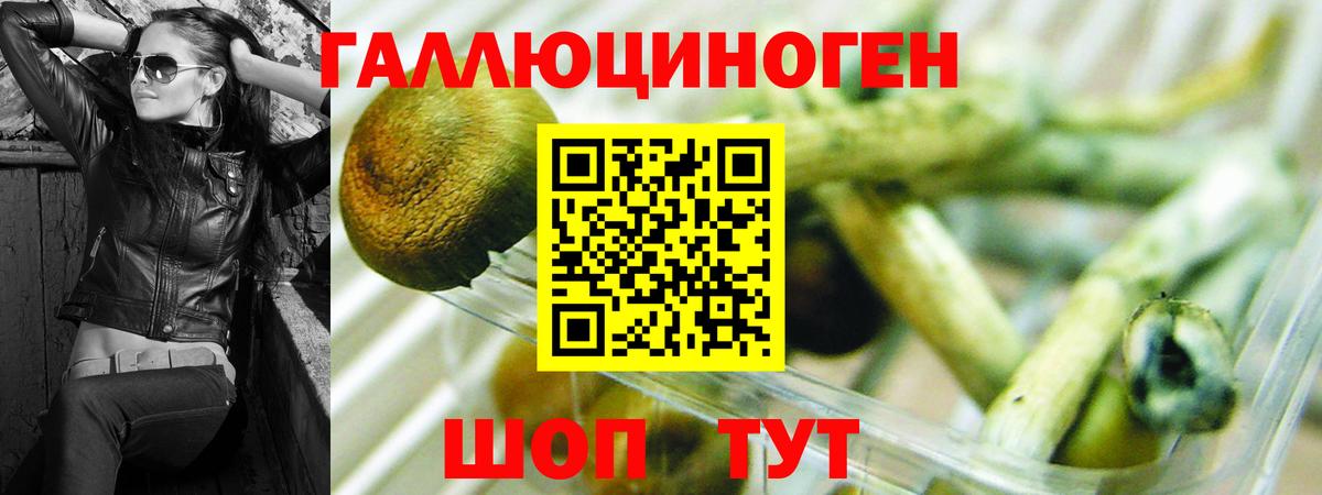 Галлюциногенные грибы Cubensis Бугуруслан